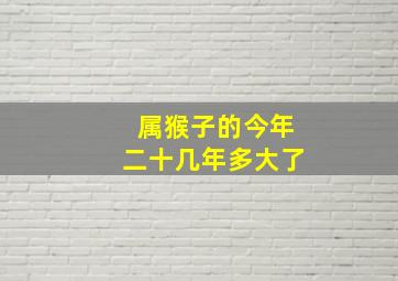 属猴子的今年二十几年多大了