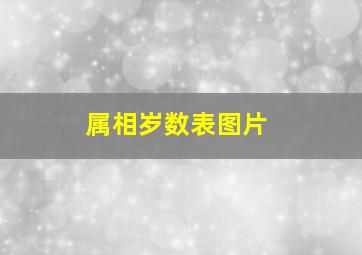 属相岁数表图片