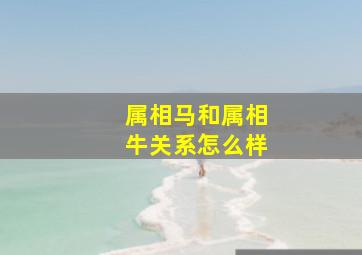 属相马和属相牛关系怎么样