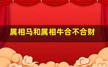 属相马和属相牛合不合财