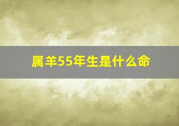 属羊55年生是什么命