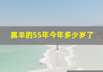 属羊的55年今年多少岁了