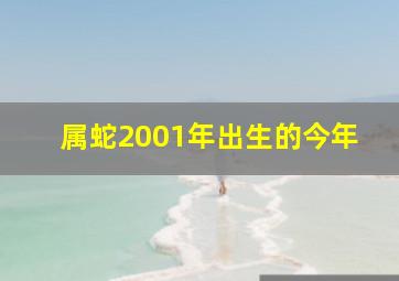 属蛇2001年出生的今年