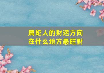 属蛇人的财运方向在什么地方最旺财