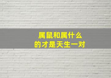 属鼠和属什么的才是天生一对