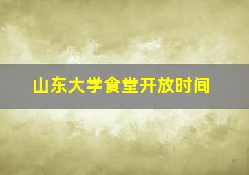 山东大学食堂开放时间