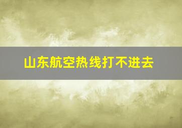 山东航空热线打不进去