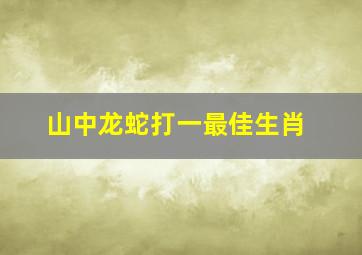 山中龙蛇打一最佳生肖