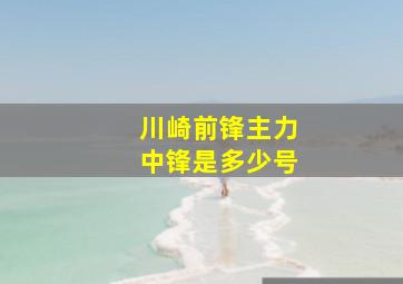 川崎前锋主力中锋是多少号