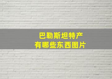 巴勒斯坦特产有哪些东西图片