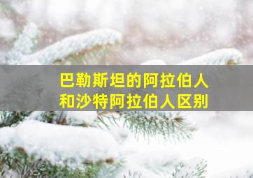 巴勒斯坦的阿拉伯人和沙特阿拉伯人区别