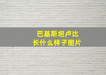 巴基斯坦卢比长什么样子图片