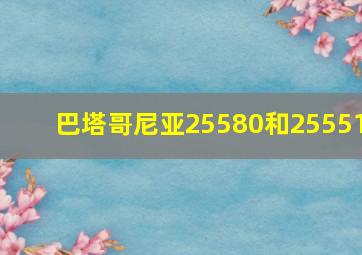 巴塔哥尼亚25580和25551