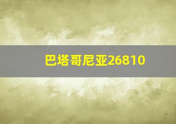 巴塔哥尼亚26810