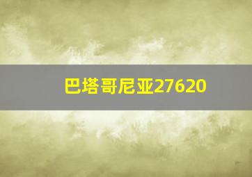 巴塔哥尼亚27620