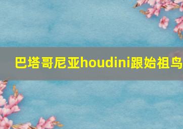 巴塔哥尼亚houdini跟始祖鸟