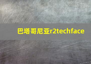 巴塔哥尼亚r2techface