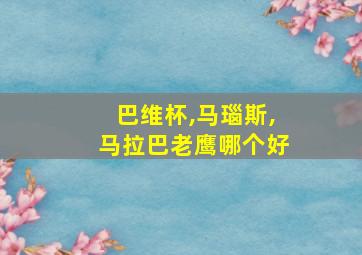 巴维杯,马瑙斯,马拉巴老鹰哪个好