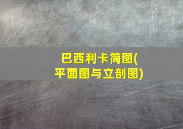 巴西利卡简图(平面图与立剖图)