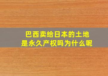 巴西卖给日本的土地是永久产权吗为什么呢