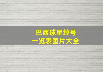 巴西球星绰号一览表图片大全