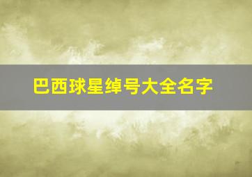 巴西球星绰号大全名字