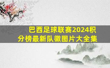 巴西足球联赛2024积分榜最新队徽图片大全集