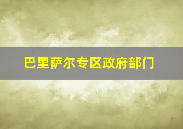 巴里萨尔专区政府部门