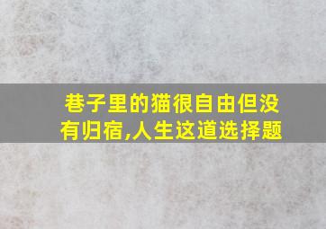 巷子里的猫很自由但没有归宿,人生这道选择题