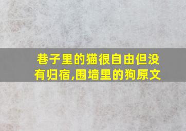 巷子里的猫很自由但没有归宿,围墙里的狗原文