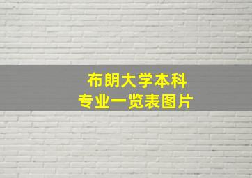 布朗大学本科专业一览表图片