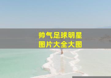 帅气足球明星图片大全大图