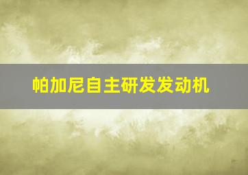 帕加尼自主研发发动机