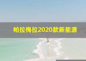 帕拉梅拉2020款新能源