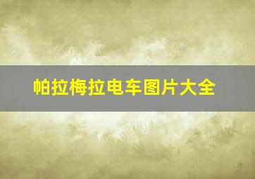 帕拉梅拉电车图片大全