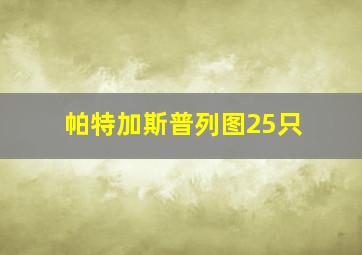 帕特加斯普列图25只