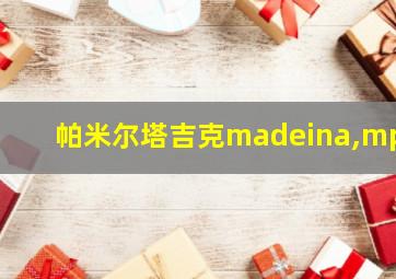 帕米尔塔吉克madeina,mp3