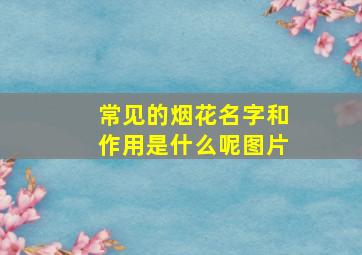 常见的烟花名字和作用是什么呢图片