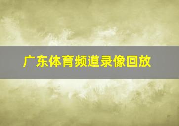 广东体育频道录像回放