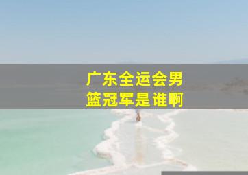 广东全运会男篮冠军是谁啊