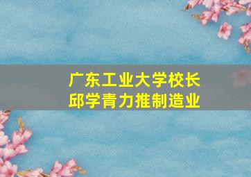 广东工业大学校长邱学青力推制造业