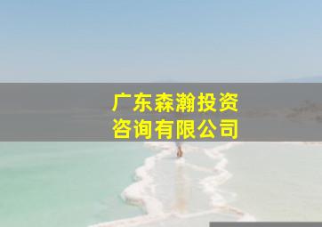 广东森瀚投资咨询有限公司