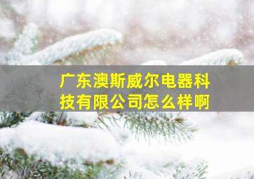 广东澳斯威尔电器科技有限公司怎么样啊