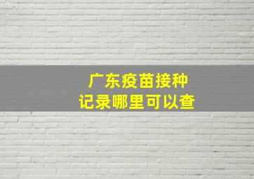 广东疫苗接种记录哪里可以查