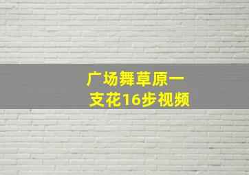 广场舞草原一支花16步视频