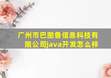 广州市巴图鲁信息科技有限公司java开发怎么样