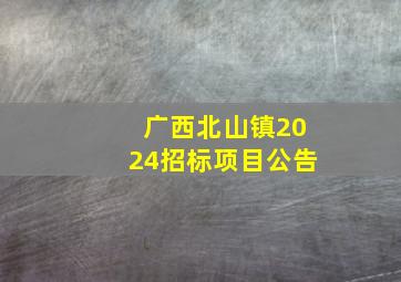 广西北山镇2024招标项目公告