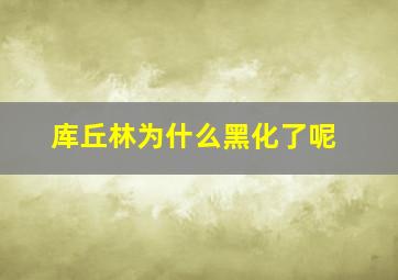 库丘林为什么黑化了呢