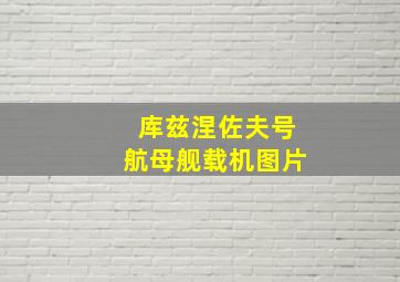 库兹涅佐夫号航母舰载机图片