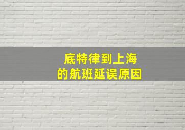 底特律到上海的航班延误原因